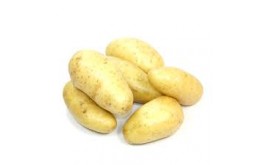 POMME DE TERRE DELIKATESS