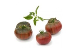 Tomate noire de crymée