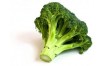 BROCOLI