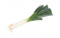 POIREAUX