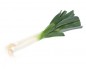 POIREAUX