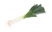POIREAUX