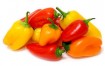 MINI POIVRON COULEUR