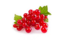 GROSEILLE 125g