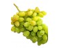 Raisin ISA
