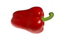 POIVRON ROUGE