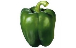 POIVRON VERT