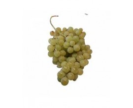 Raisin chasselas AOP