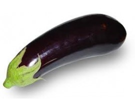 Aubergine