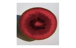Kiwi Rouge