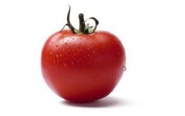 Tomate Ronde extra