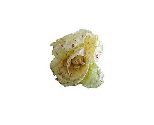Salade Castelfranco