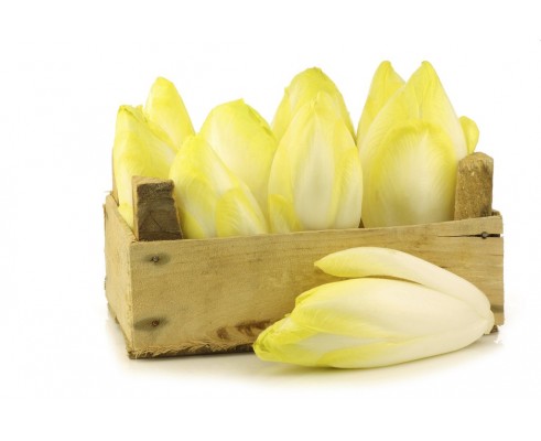 Endive à la caisse