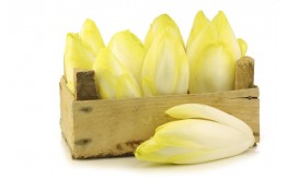 Endive à la caisse