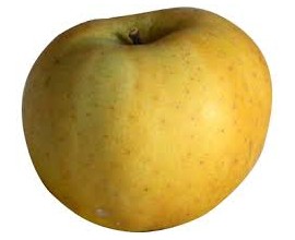 Pomme Chanteclerc à la caisse