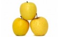 Pomme Golden littée à la caisse