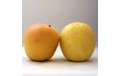 Pomme Golden rosée du Pilat