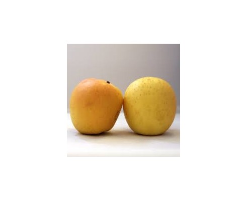 Pomme Golden rosée du Pilat