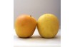 Pomme Golden rosée du Pilat