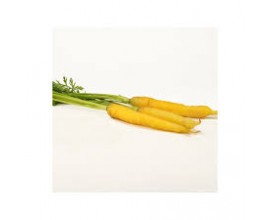 Mini carotte jaune