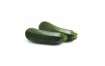 COURGETTE I BIS