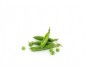 Petit Pois Extra