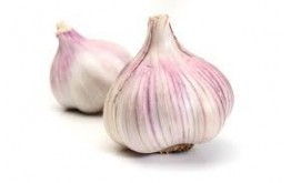 AIL VIOLET NOUVEAU