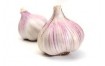 AIL VIOLET NOUVEAU