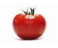 Tomate ronde Provence