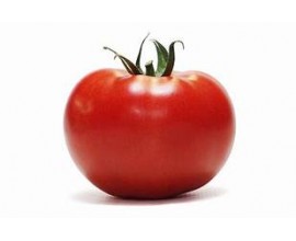 Tomate ronde Provence