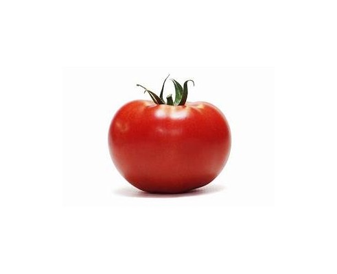 Tomate ronde Provence