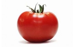 TOMATE RONDE