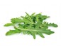 Salade roquette 500g