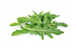 Salade roquette