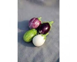 Mini aubergines