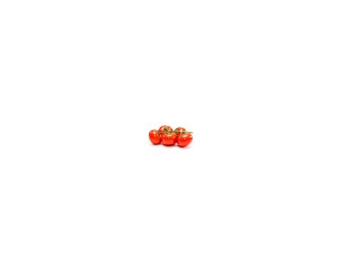 1 Lot Tomate Grappe PROMO