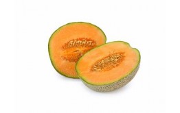 MELON NOGARET
