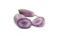 Radis Blue Meat
