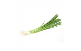 OIGNON CEBETTE