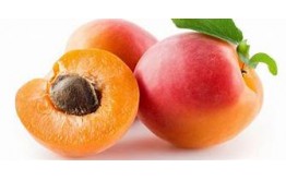 ABRICOT CONFITURE 5 KG